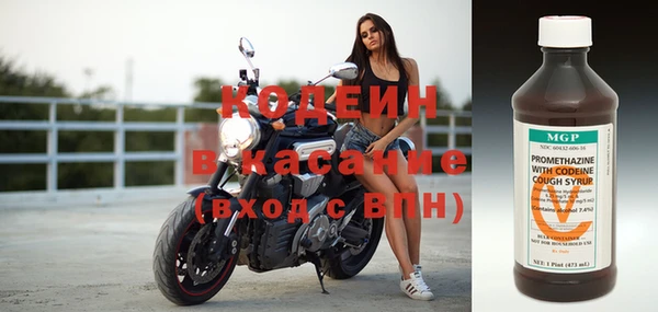 крисы Абаза