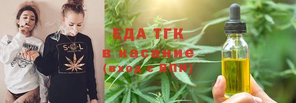 крисы Абаза