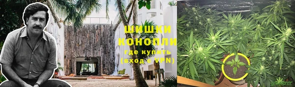 крисы Абаза