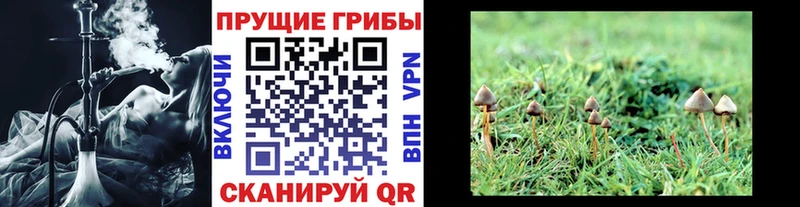 Галлюциногенные грибы Magic Shrooms наркота Чкаловск